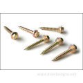 Wood screws series